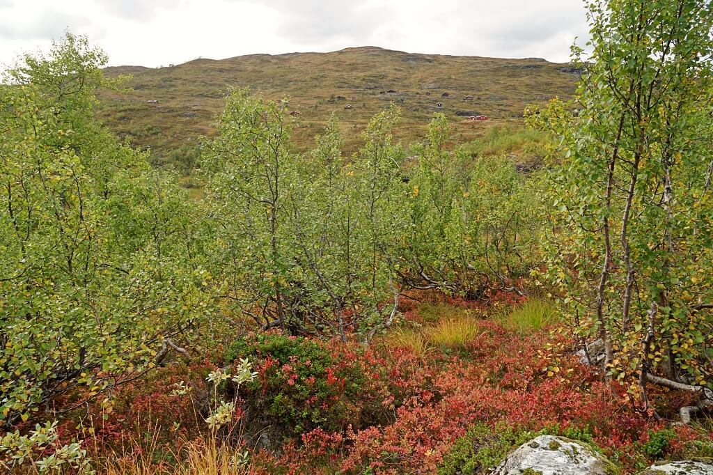 Wanderung zur Alm Osen ueber dem Morkridsdalen in Norwegen