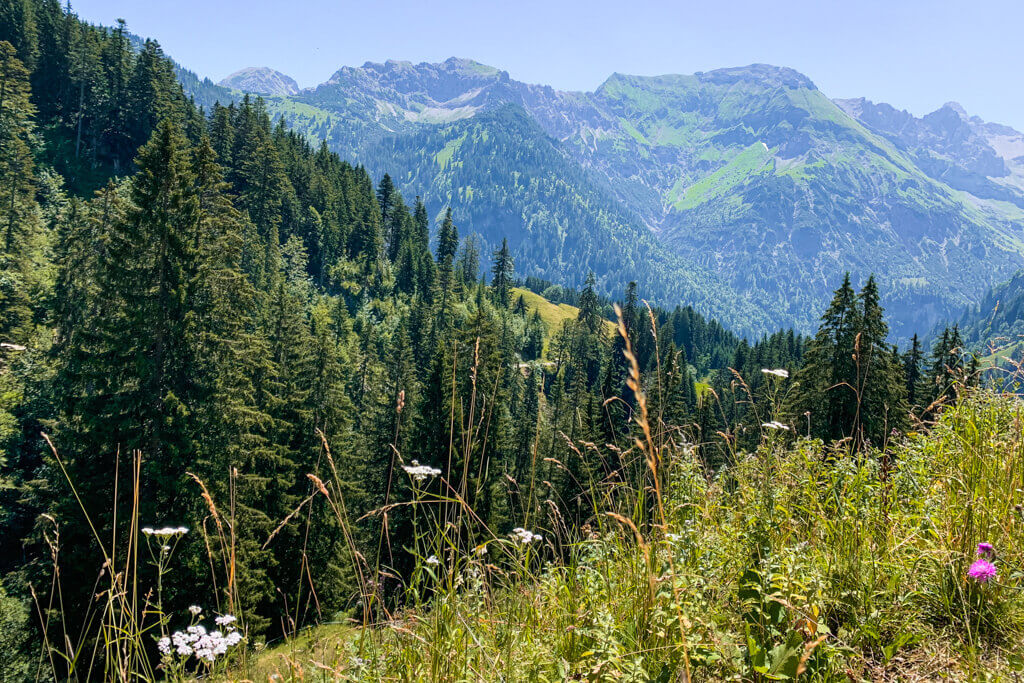 Ausblicke auf der Wanderung ueber den Sommerweg zur Schwarzenberghuette und zur Alpe Engeratsgund